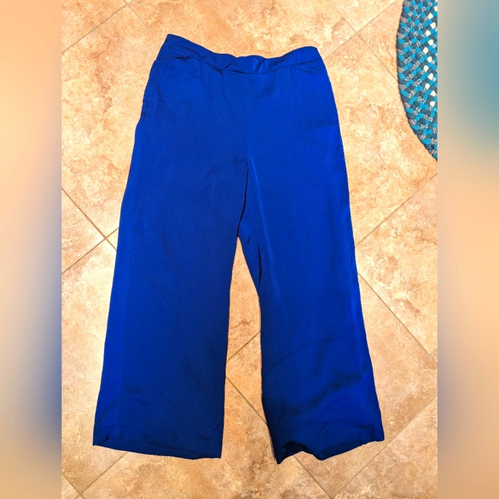 Women's new with tags‎ blue palazzo pants chicos size 2